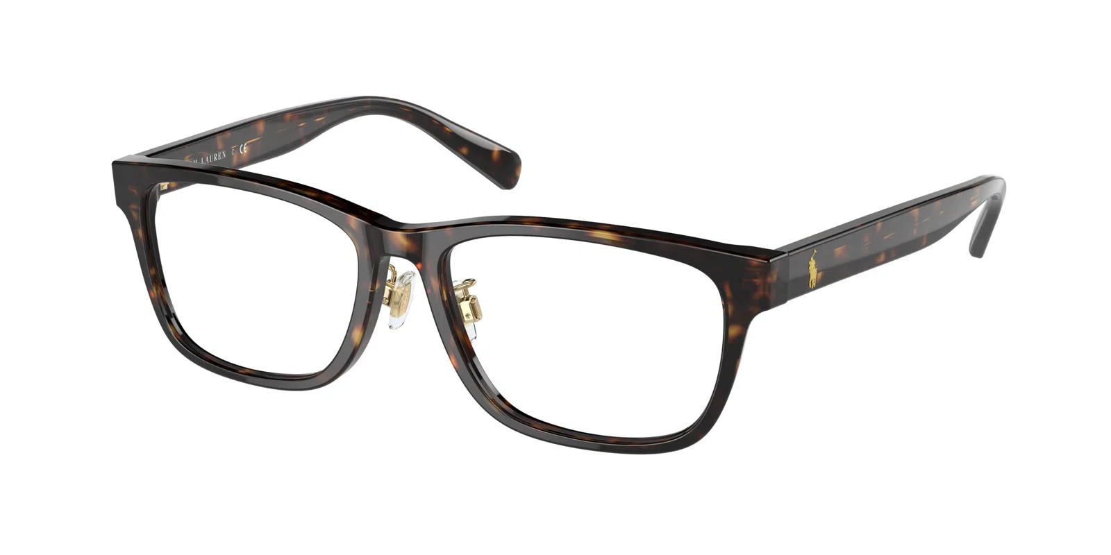 Polo 2249D Eyeglasses